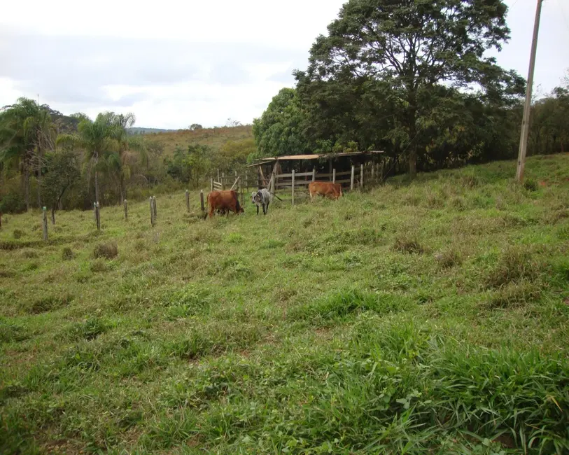Foto 19 de Sítio / Rancho à venda em Congonhas - MG