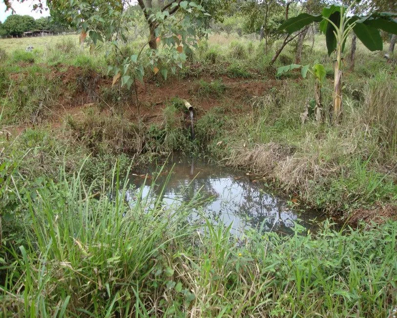 Foto 21 de Sítio / Rancho à venda em Congonhas - MG