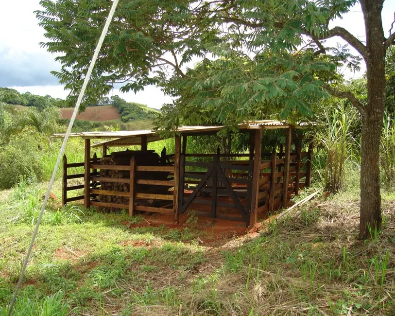 Foto 27 de Sítio / Rancho à venda em Congonhas - MG