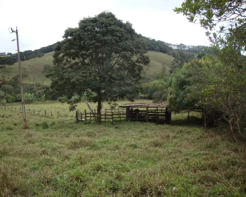 Foto 15 de Sítio / Rancho à venda em Congonhas - MG