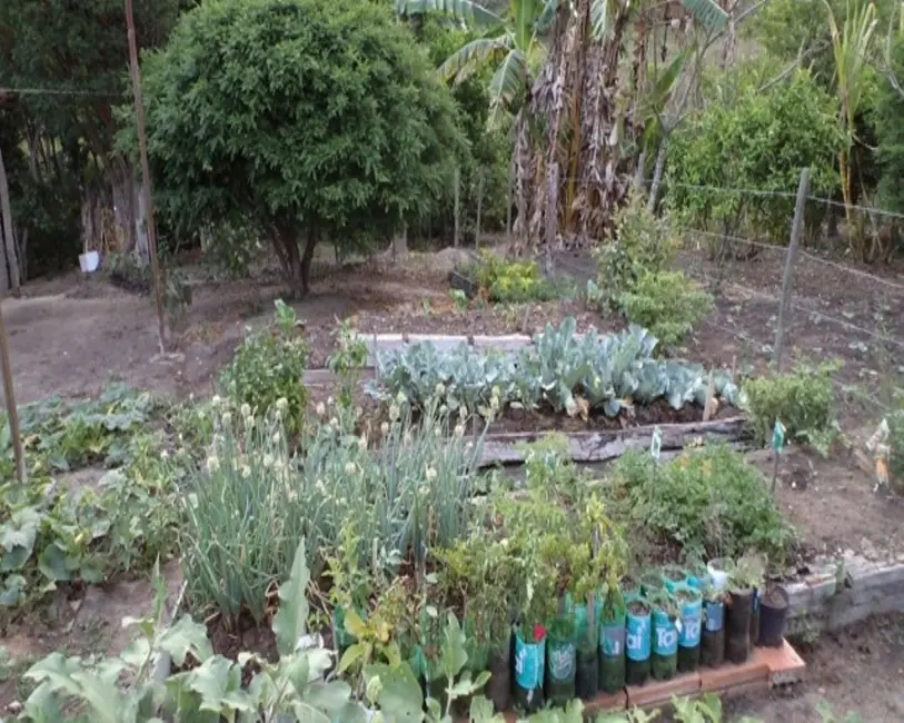 Foto 11 de Sítio / Rancho à venda em Bonfim - MG