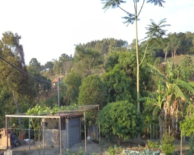 Foto 19 de Sítio / Rancho à venda em Bonfim - MG