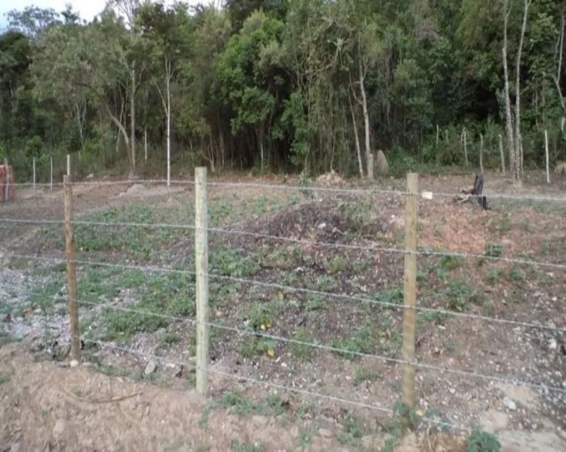 Foto 17 de Sítio / Rancho à venda em Bonfim - MG