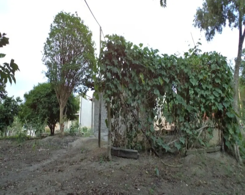 Foto 15 de Sítio / Rancho à venda em Bonfim - MG