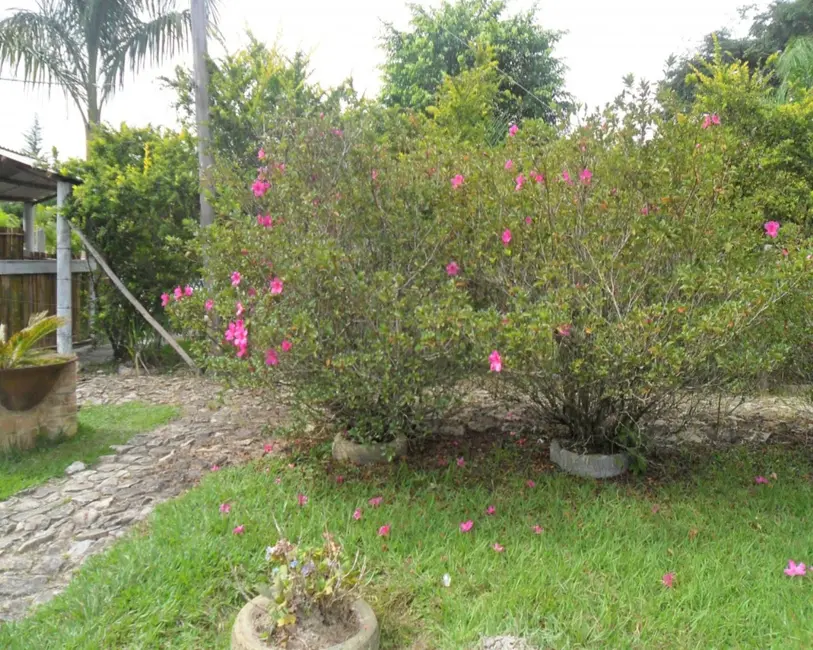 Foto 5 de Loja com 3 quartos à venda em Resende Costa - MG