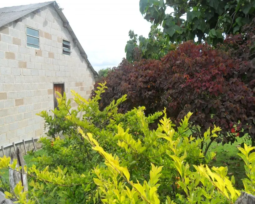Foto 6 de Loja com 3 quartos à venda em Resende Costa - MG