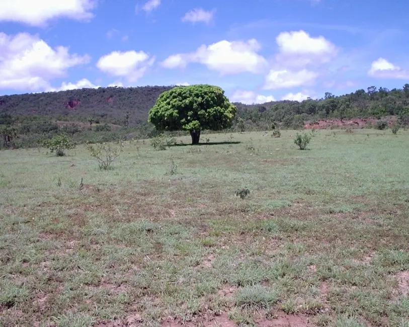 Foto 2 de Fazenda / Haras à venda em Joao Pinheiro - MG