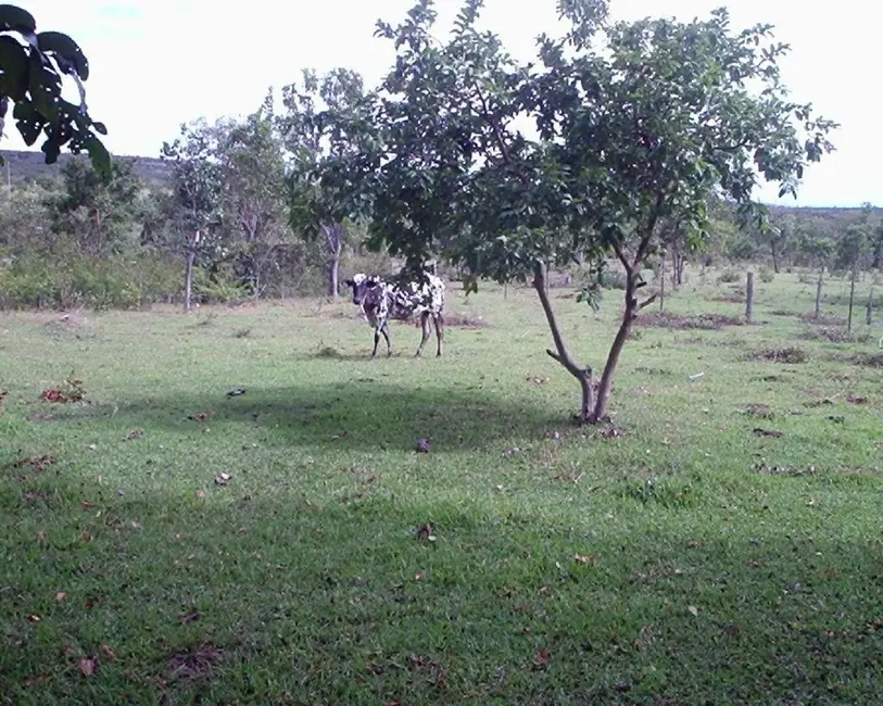 Foto 5 de Fazenda / Haras à venda em Joao Pinheiro - MG
