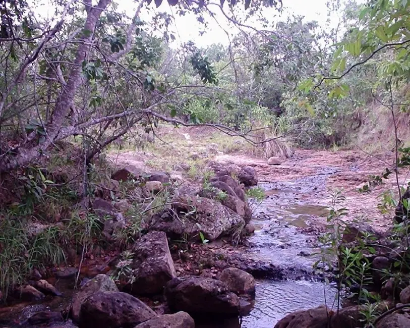 Foto 9 de Fazenda / Haras à venda em Joao Pinheiro - MG