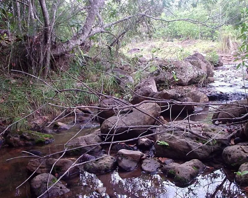Foto 8 de Fazenda / Haras à venda em Joao Pinheiro - MG