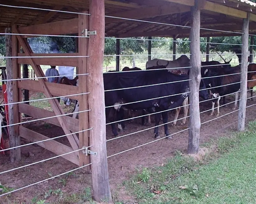 Foto 7 de Fazenda / Haras à venda em Joao Pinheiro - MG