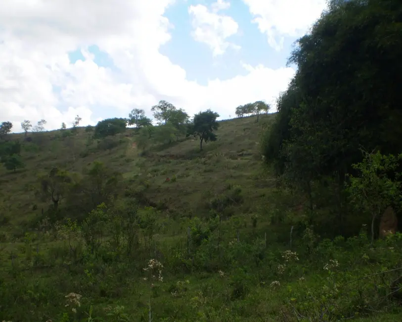 Fazenda / Haras à venda em Oliveira - MG - imagem 7 Foto 7 de Fazenda / Haras à venda em Oliveira - MG