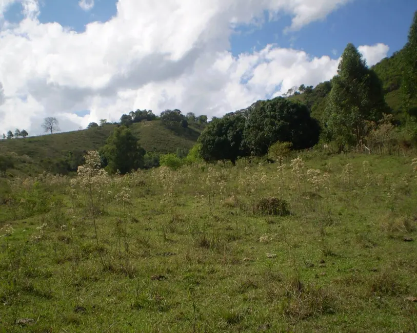 Foto 18 de Fazenda / Haras à venda em Oliveira - MG