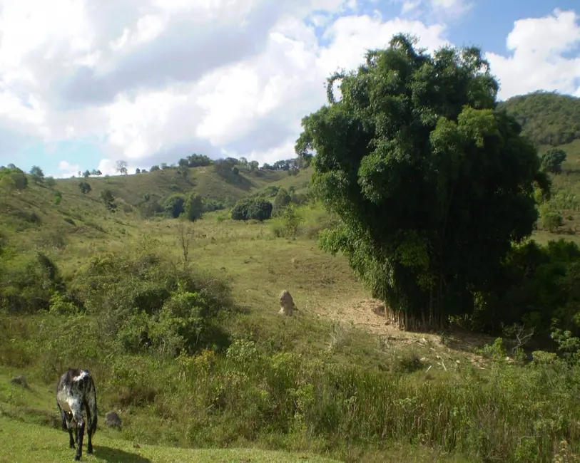Foto 20 de Fazenda / Haras à venda em Oliveira - MG
