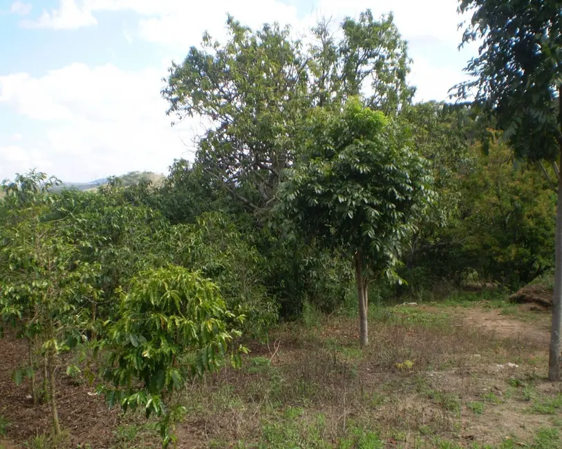 Fazenda / Haras à venda em Oliveira - MG - imagem 9 Foto 9 de Fazenda / Haras à venda em Oliveira - MG