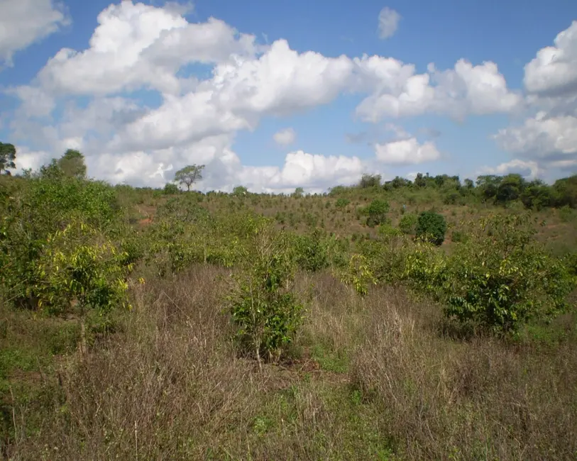 Foto 15 de Fazenda / Haras à venda em Oliveira - MG