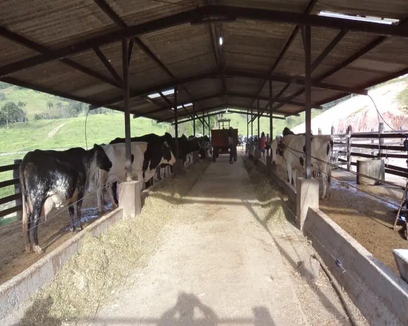 Foto 16 de Fazenda / Haras à venda em Claudio - MG