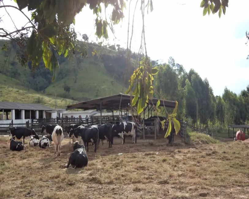 Foto 27 de Fazenda / Haras à venda em Claudio - MG