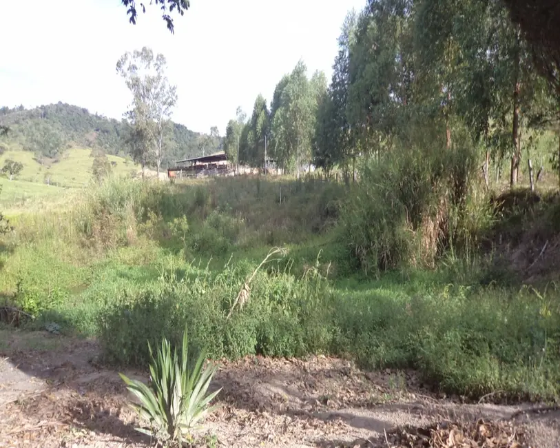 Foto 7 de Fazenda / Haras à venda em Claudio - MG