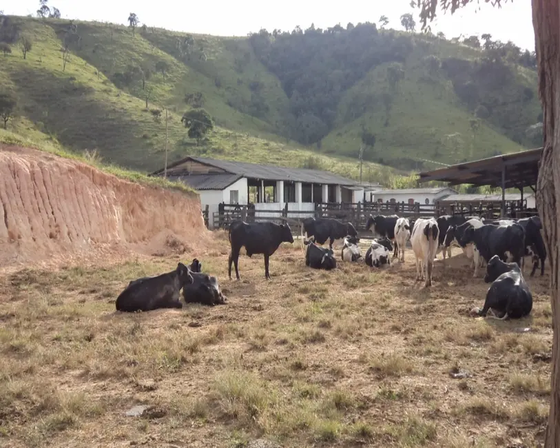 Foto 26 de Fazenda / Haras à venda em Claudio - MG