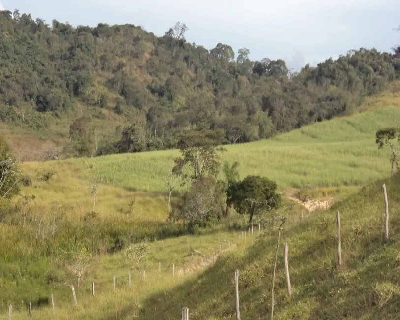 Foto 29 de Fazenda / Haras à venda em Claudio - MG