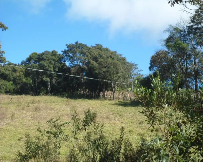 Foto 4 de Fazenda / Haras à venda em Piedade Dos Gerais - MG