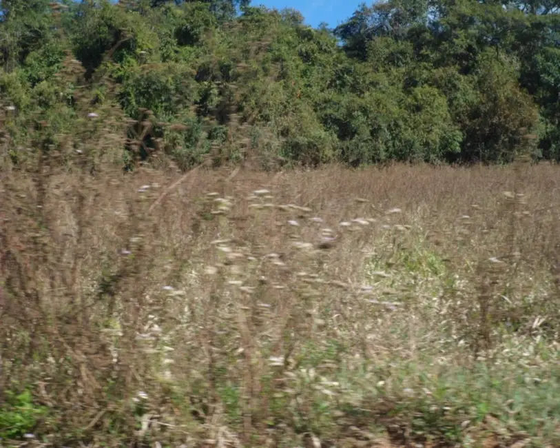 Foto 7 de Fazenda / Haras à venda em Piedade Dos Gerais - MG