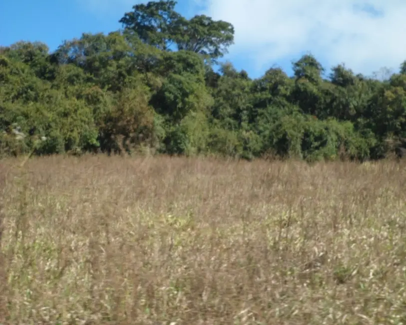 Foto 6 de Fazenda / Haras à venda em Piedade Dos Gerais - MG