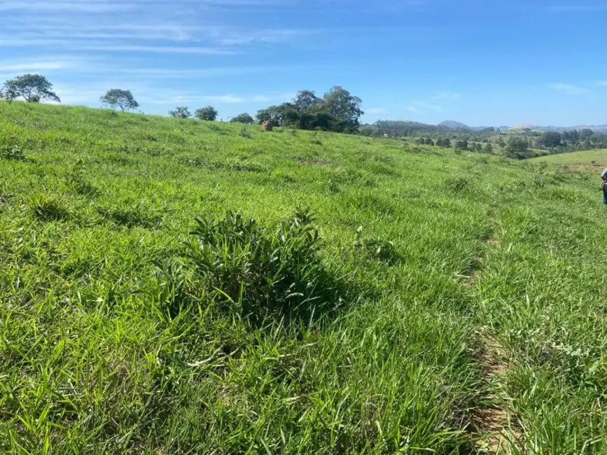 Terreno / Lote à venda, 250000m2 em Desterro De Entre Rios - MG - imagem 9 Foto 9 de Terreno / Lote à venda, 250000m2 em Desterro De Entre Rios - MG