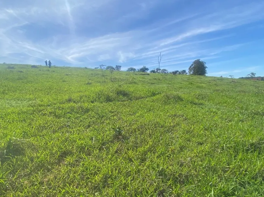 Foto 1 de Terreno / Lote à venda, 250000m2 em Desterro De Entre Rios - MG