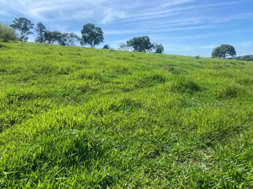 Terreno / Lote à venda, 250000m2 em Desterro De Entre Rios - MG - imagem 6 Foto 6 de Terreno / Lote à venda, 250000m2 em Desterro De Entre Rios - MG
