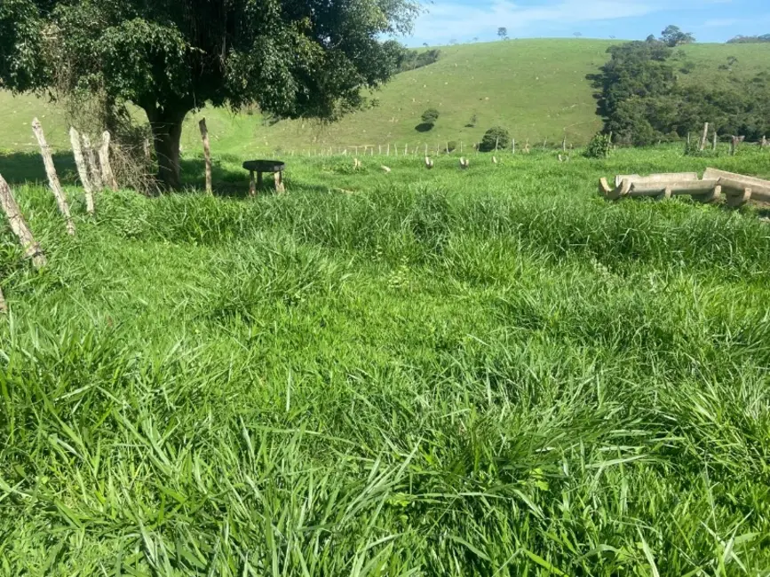 Terreno / Lote à venda, 250000m2 em Desterro De Entre Rios - MG - imagem 8 Foto 8 de Terreno / Lote à venda, 250000m2 em Desterro De Entre Rios - MG