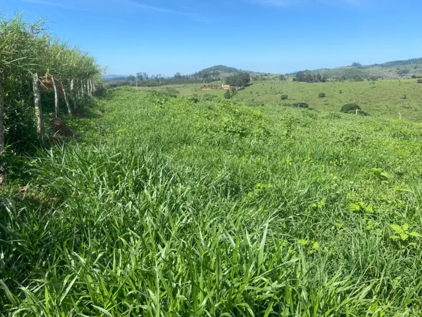 Terreno / Lote à venda, 250000m2 em Desterro De Entre Rios - MG - imagem 4 Foto 4 de Terreno / Lote à venda, 250000m2 em Desterro De Entre Rios - MG
