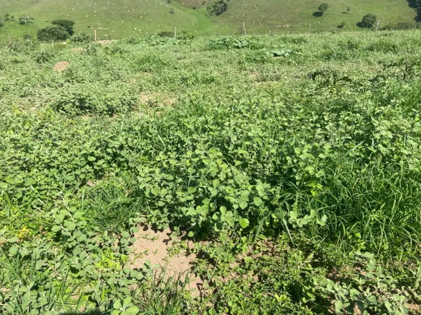 Terreno / Lote à venda, 250000m2 em Desterro De Entre Rios - MG - imagem 3 Foto 3 de Terreno / Lote à venda, 250000m2 em Desterro De Entre Rios - MG