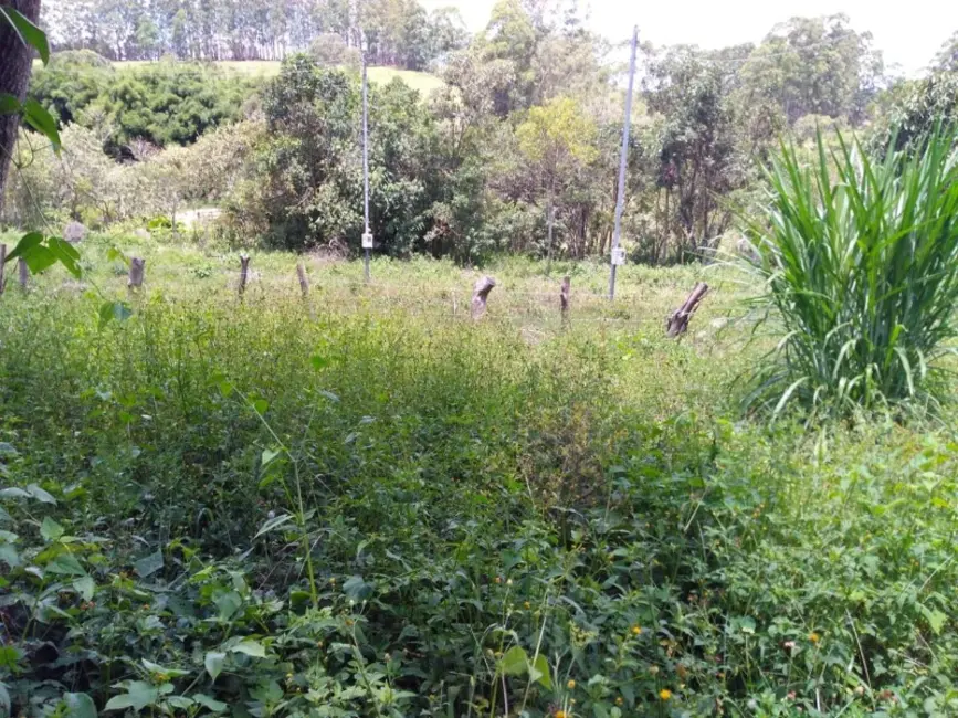Foto 8 de Sítio / Rancho à venda, 30000m2 em Desterro De Entre Rios - MG