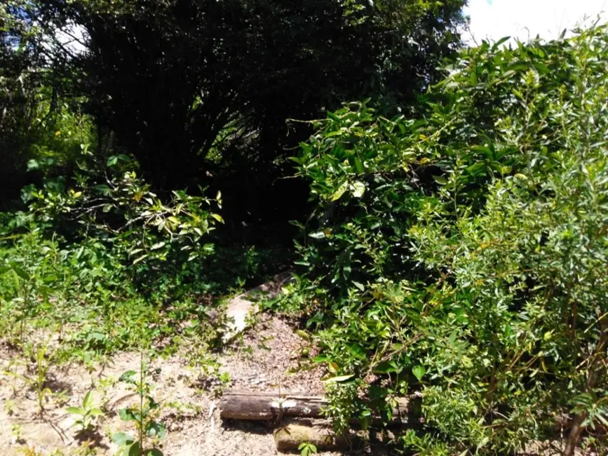 Foto 7 de Sítio / Rancho à venda, 30000m2 em Desterro De Entre Rios - MG