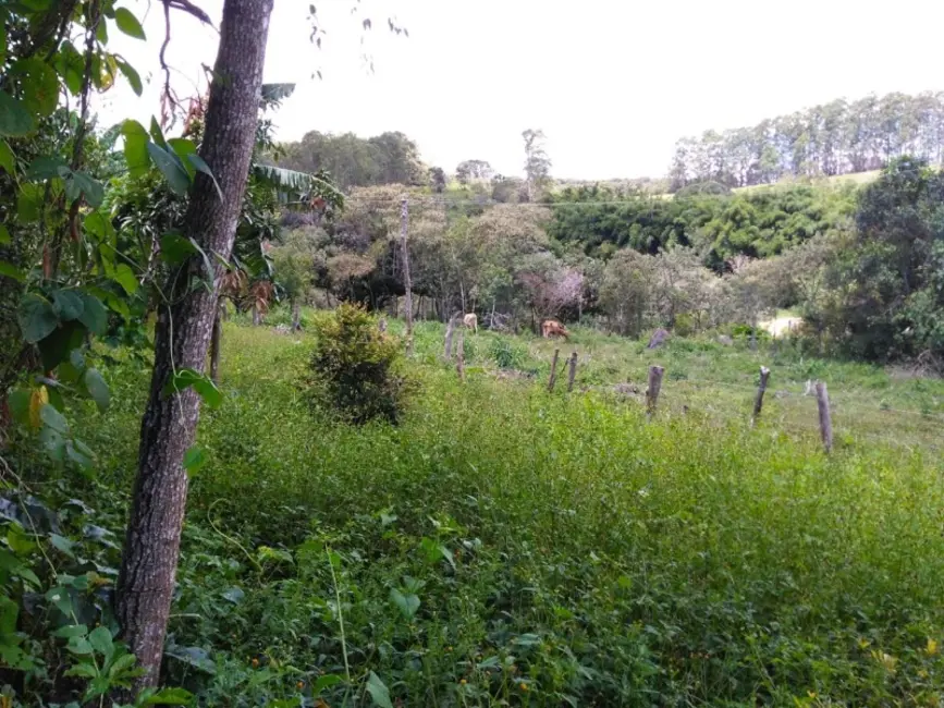 Foto 2 de Sítio / Rancho à venda, 30000m2 em Desterro De Entre Rios - MG