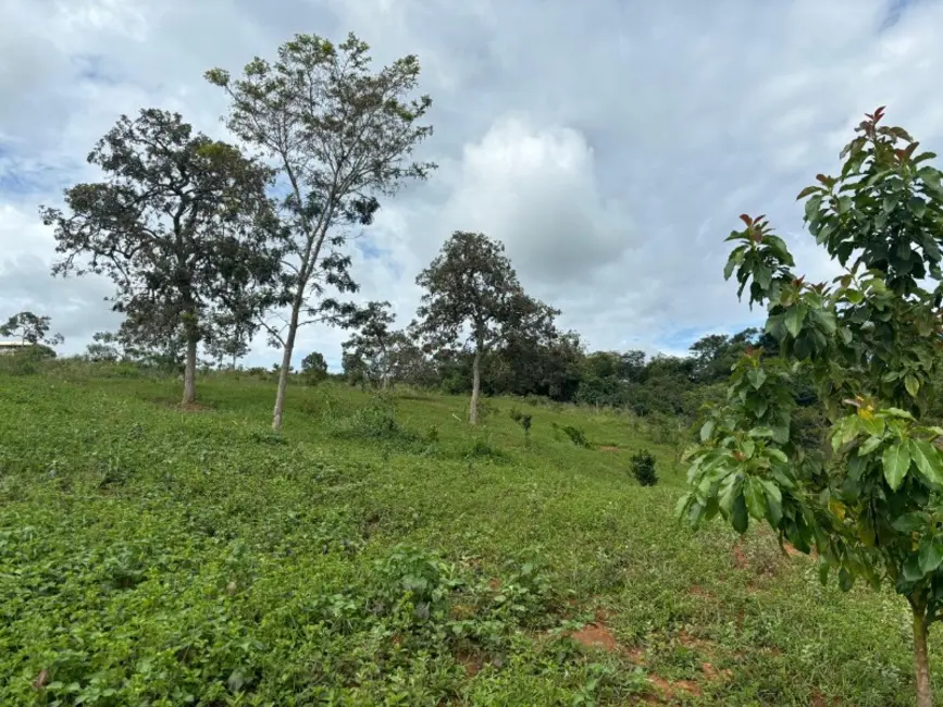 Foto 6 de Terreno / Lote à venda, 20000m2 em Castro, Entre Rios De Minas - MG