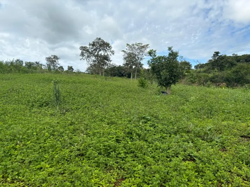 Foto 7 de Terreno / Lote à venda, 20000m2 em Castro, Entre Rios De Minas - MG
