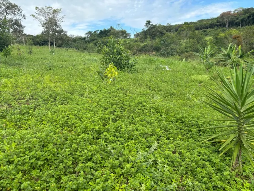 Foto 1 de Terreno / Lote à venda, 20000m2 em Castro, Entre Rios De Minas - MG