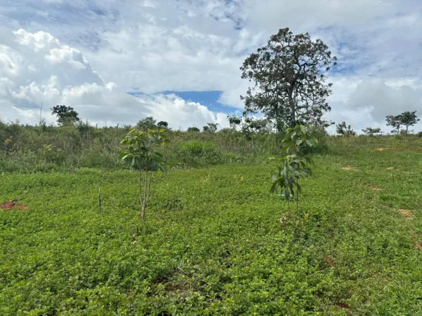 Foto 5 de Terreno / Lote à venda, 20000m2 em Castro, Entre Rios De Minas - MG