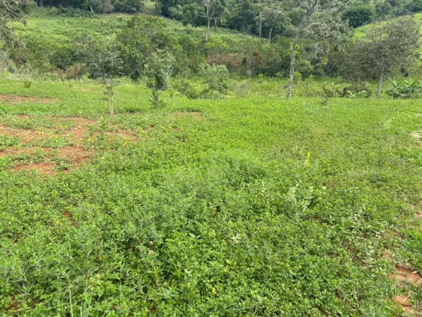 Foto 4 de Terreno / Lote à venda, 20000m2 em Castro, Entre Rios De Minas - MG