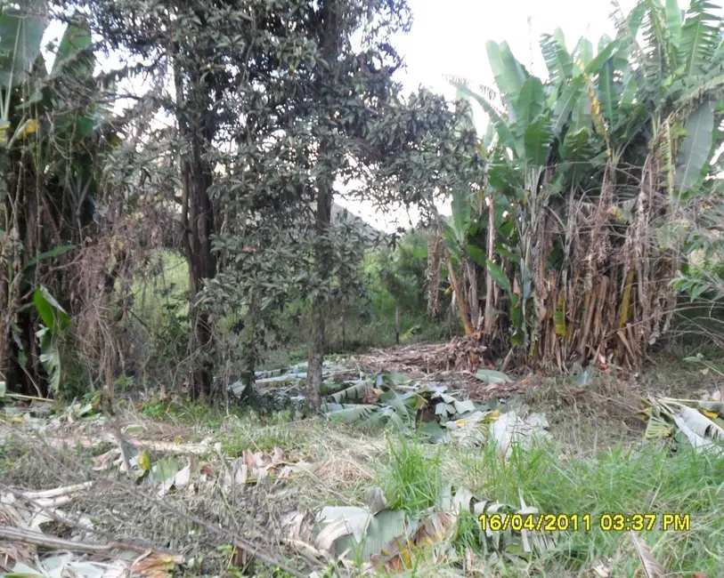 Foto 25 de Sítio / Rancho à venda em Congonhas - MG