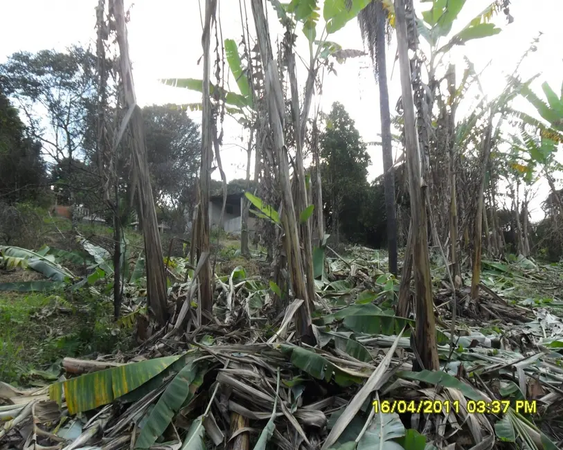 Foto 29 de Sítio / Rancho à venda em Congonhas - MG