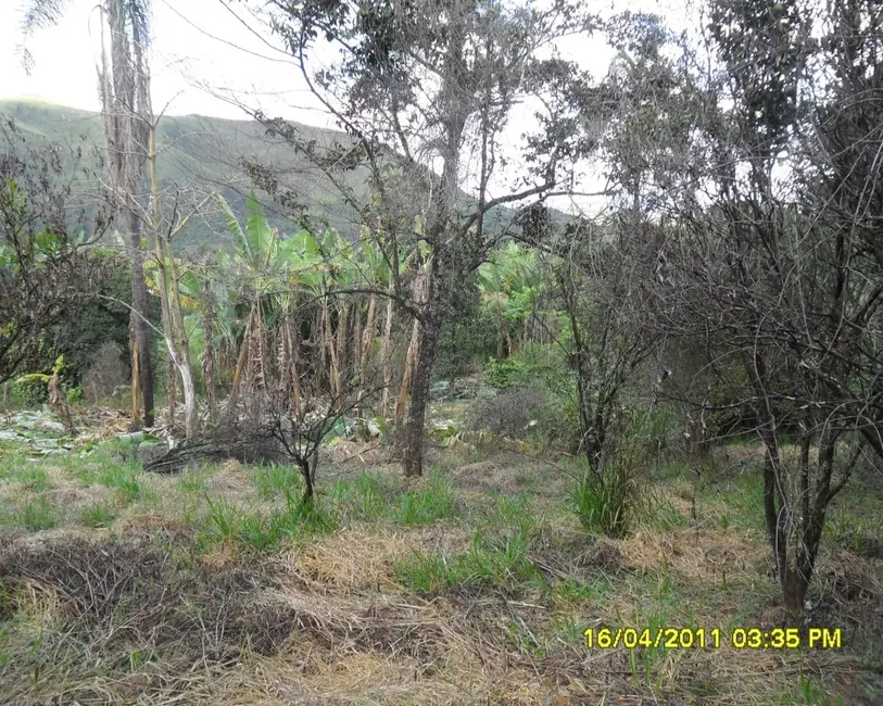 Foto 23 de Sítio / Rancho à venda em Congonhas - MG