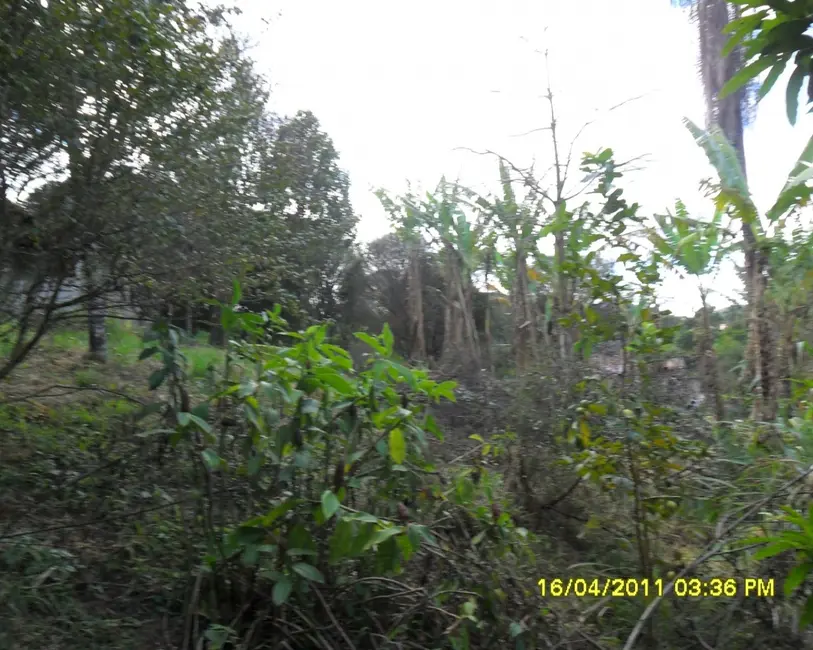 Foto 24 de Sítio / Rancho à venda em Congonhas - MG