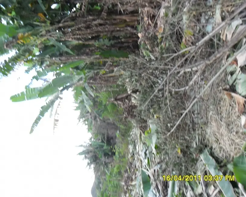 Foto 26 de Sítio / Rancho à venda em Congonhas - MG