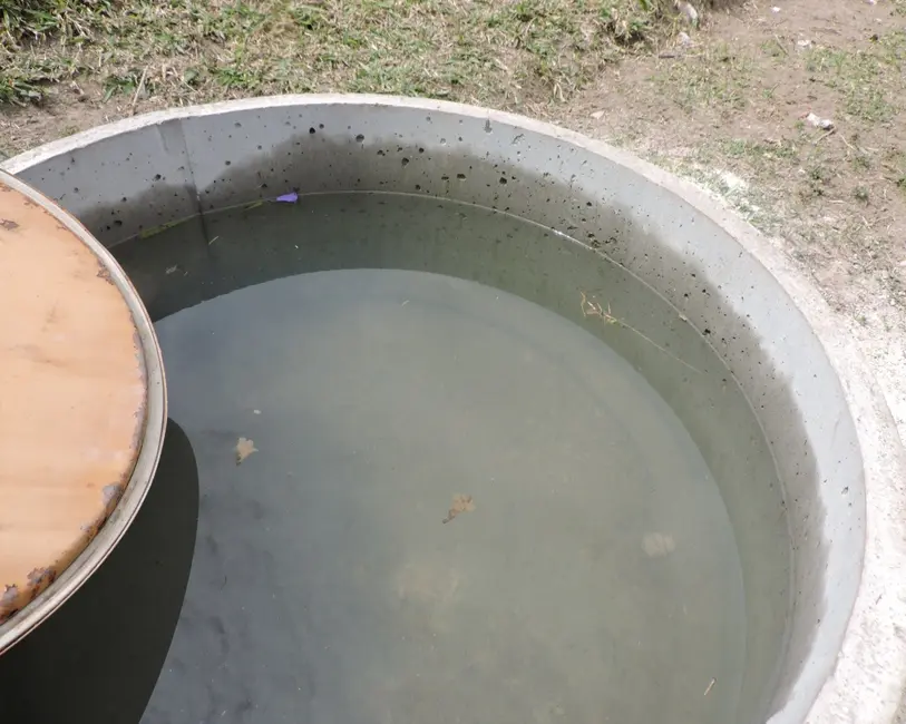 Foto 9 de Sítio / Rancho à venda em Entre Rios De Minas - MG