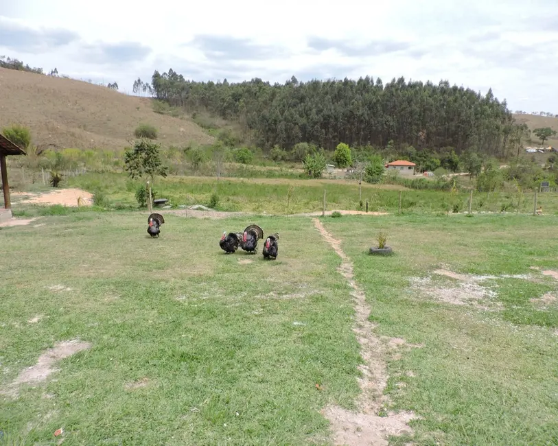 Foto 3 de Sítio / Rancho à venda em Entre Rios De Minas - MG