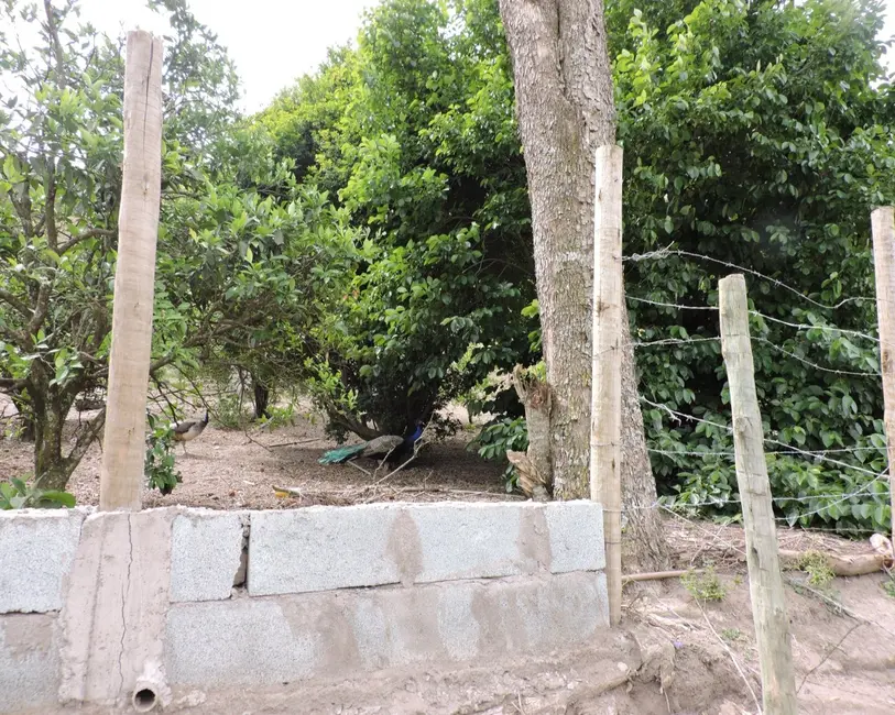 Foto 8 de Sítio / Rancho à venda em Entre Rios De Minas - MG